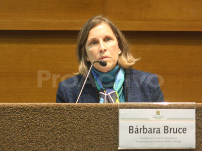 Bárbara Bruce, presidenta del comité sectorial de Hidrocarburos de la Sociedad Nacional de Minería, Petróleo y Energía (SNMPE). 