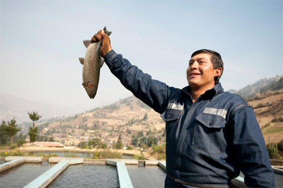 “Desarrollo de la Pesquería Continental en la provincia de Huari” 