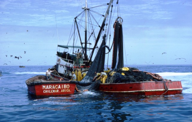 barco pesquero Chile