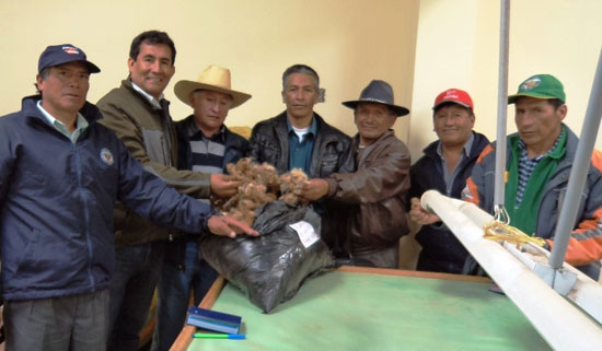 Pobladores de la comunidad campesina de Cátac se capacitan en la crianza de vicuñas en Ayacucho