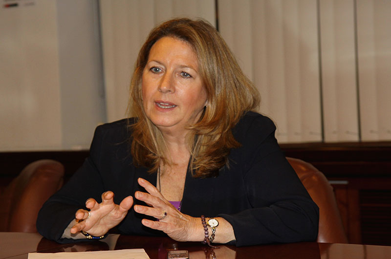 Joanne C. Freeze, directora de Cañariaco Copper Perú.