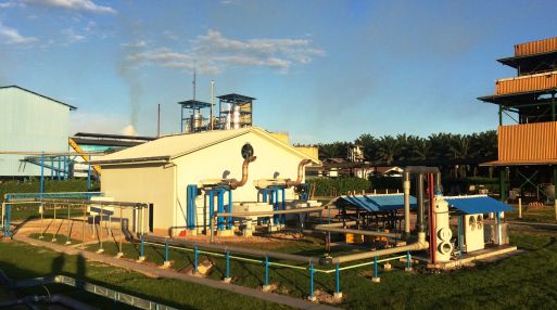 Planta generadora de biogas de Grupo Palmas en San Martín. (Foto: Grupo Palma)