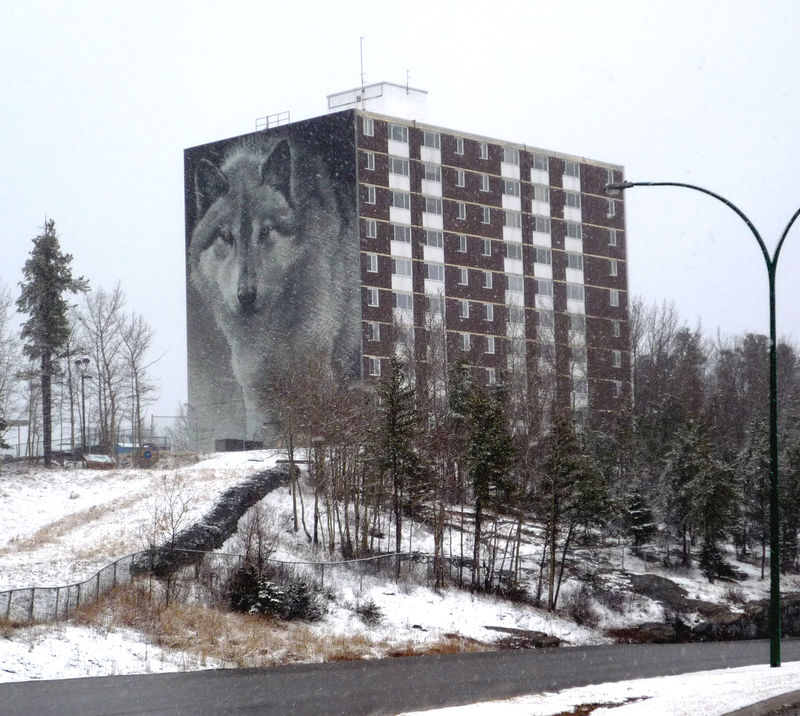 The Wolf Wall (Foto: Internet)