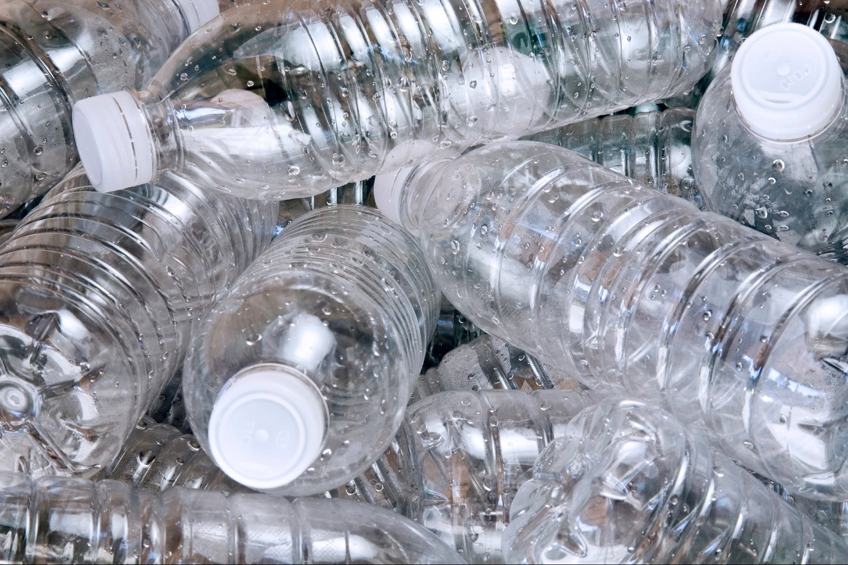 botellas descartables (fuente Internet)
