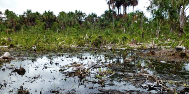 Reportan nuevo derrame de crudo en la cuenca del río Corrientes