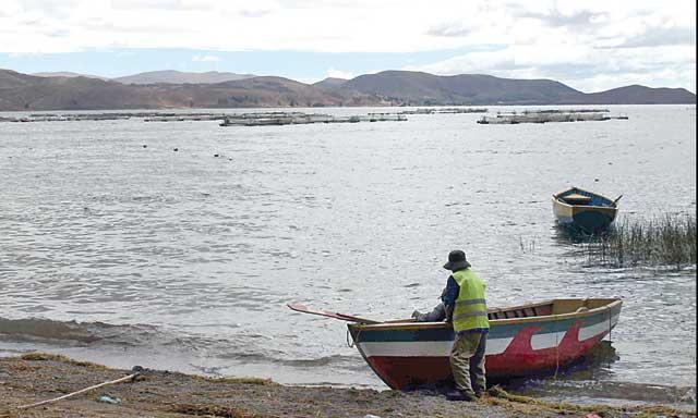 Contaminación de Bolivia afecta isla peruana de Anapia en el lago Titicaca
