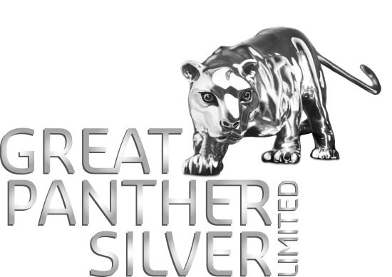 Great Panther apunta a fusión y adquisición en Perú y México
