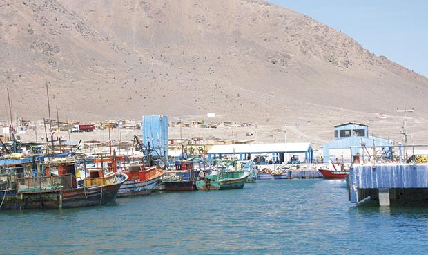 Southern licitará estudios para puerto de Tacna
