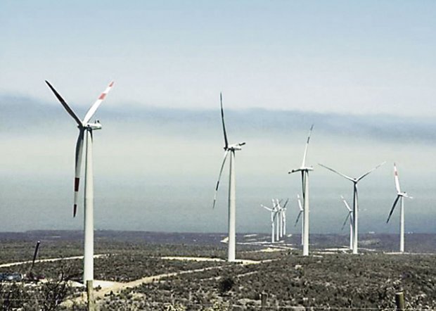 Lambayeque: Recomiendan aprovechar potencial de energía eólica con nuevos proyectos de hasta 10 megavatios