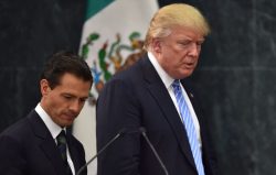 Peña Nieto cancela su visita a EE.UU. tras amenaza de Trump