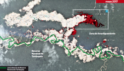 Minería ilegal deforestó 460 hectáreas de bosques