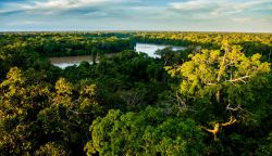 Minería aurífera se reduce en la Reserva Nacional Tambopata