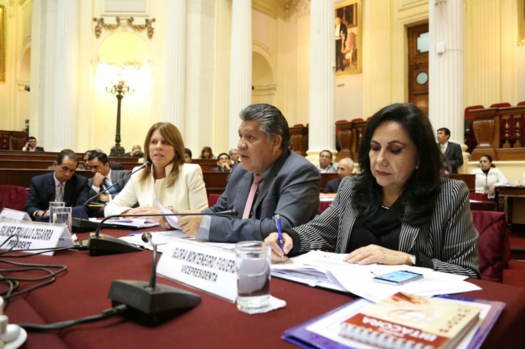 Ministra Cayetana Aljovín sustentó nueva Ley de Organización y Funciones del MEM