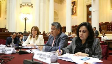 Ministra Cayetana Aljovín sustentó nueva Ley de Organización y Funciones del MEM