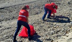Petroperú entregará combustibles para poner en marcha gran campaña de limpieza en talara