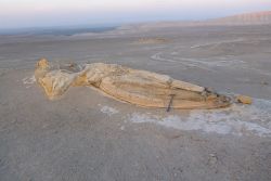 Ingemmet y SGP expondrán fósil de reptil marino prehistórico hallado en Lima