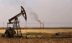 petróleo de Texas