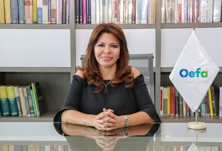 Tessy Torres, presidenta del OEFA