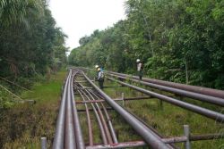 SPH: Contrato entre Petroperú y PetroTal ayudará a incrementar los campos de producción en la selva y mejorar la comercialidad del ONP