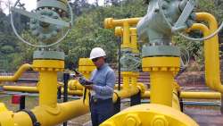 Perupetro: Perú tiene reservas de gas natural para 35 años