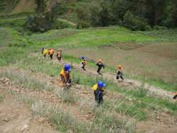 Panoro Minerals intersecta mineralización de alto grado en proyecto Cotabambas