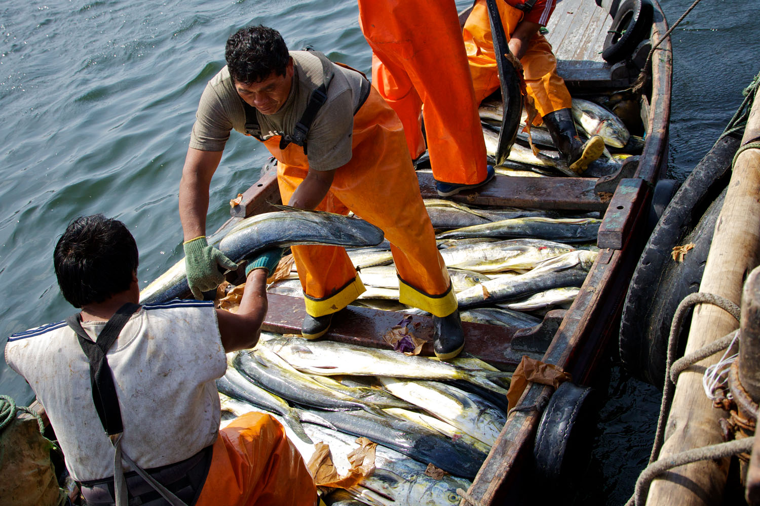 Publicaron proyecto de Decreto Supremo para fortalecer la pesca en Tumbes