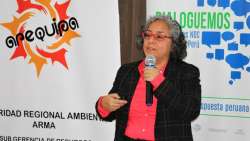 Arequipa aprovechará su potencial en energías renovables para enfrentar el cambio climático