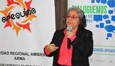 Arequipa aprovechará su potencial en energías renovables para enfrentar el cambio climático
