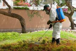 ALVAC - 70% de empresas cuenta con áreas verdes en sus instalaciones