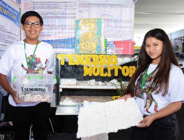 Beca Talento Escolar: Pronabec otorgará becas a ganadores de ferias de ciencia