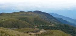 Cañariaco