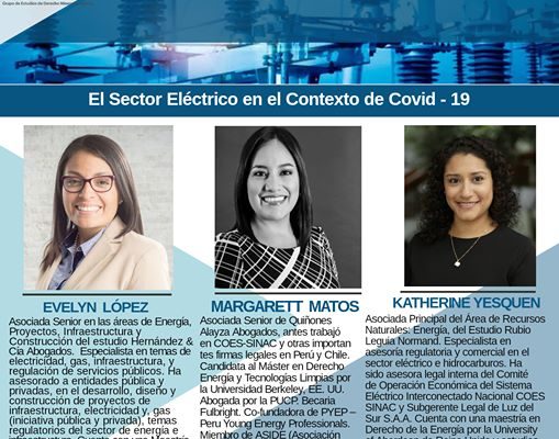 I Conversatorio en el Sector Eléctrico: EL SECTOR ELÉCTRICO EN EL CONTEXTO DE COVID-19