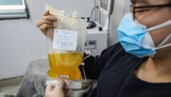Perú con Plasma