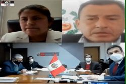 Comisión de Energía y Minas modifica artículos 2 y 3 de la Ley que crea el Fondo de Desarrollo del Proyecto Camisea - FOCAM