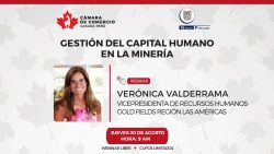 Webinar libre: Gestión del Capital Humano en la Minería (Jueves 20 de Agosto | 9am)