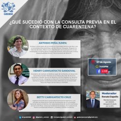 Webinar - Qué sucedió con la Consulta Previa en el contexto de cuarentena