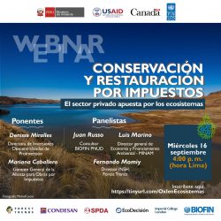 Webinar: “Conservación y Restauración por Impuestos: El sector privado apuesta por los ecosistemas” (Miércoles 16 de setiembre | 4pm)