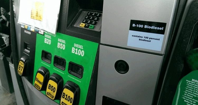 Biodiesel B100