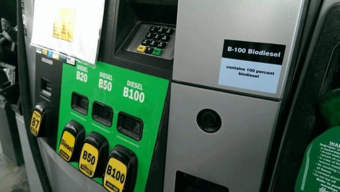 Biodiesel B100