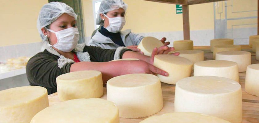 Coimolache: nueva planta productora de quesos beneficiará a más familias en Chugur