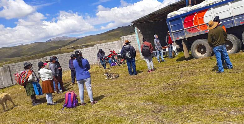 Antapaccay: más de 600 sacos de alimento balanceado para ganado ovino fueron entregados a la comunidad de Huini Corccohuayco