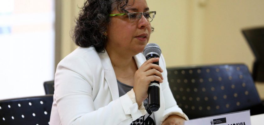 Rosa Morales, directora general de Cambio Climático y Desertificación del Minam