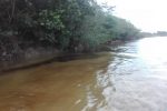 Derrame de petróleo en el Lote 8 del ONP que discurrió en el río Corrientes, cerca a la localidad de Trompeteros, provincia de Loreto-Nauta.