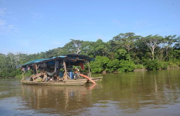 Las llamadas pequedragas navegan por los ríos Napo y Nanay en la región de Loreto