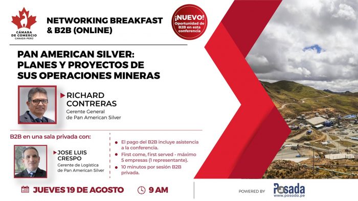 Pan American Silver: Planes y proyectos de sus operaciones mineras