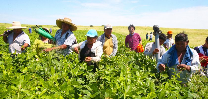 agricultura en Perú