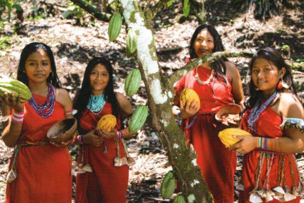 💯 Cámara de Comercio de los Pueblos Indígenas del Perú reconoce al Grupo  AJE