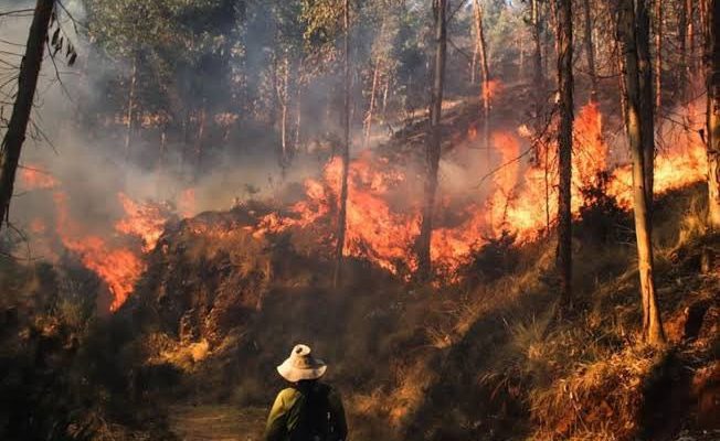 incendio en Quispicanchi (Cusco)