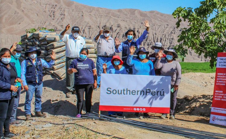 Southern Perú: “Proyectos por Convocatoria” entrega capital semilla a criadores de cuyes