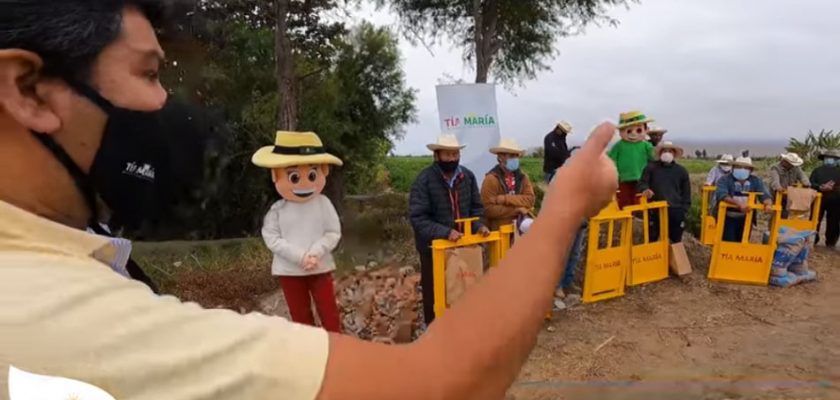 (Tía María) Agricultores de Punta de Bombón acceden a mejor infraestructura de riego